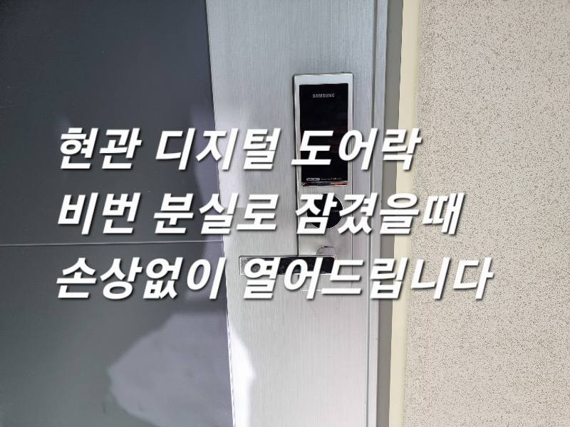 현관 디지털 도어락 전자 번호키 비밀번호 분실, 오류, 실수로 잠겼을 때 파손하지 않고 손상 없이 열어드립니다.