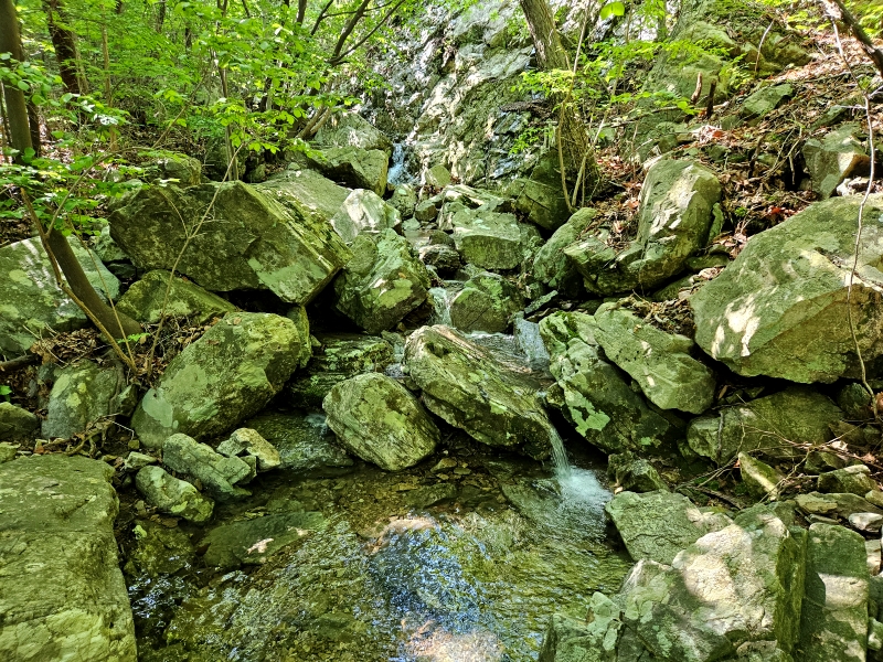 팔영산