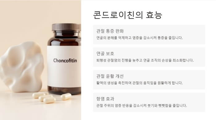 콘드로이친의 효능 ppt 이미지