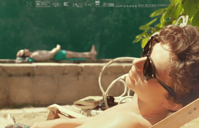  [티모시 편애 Review] 영화 콜 미 바이 유어 네임(Call Me by Your Name 2017) - 명장면 및 OST 리뷰