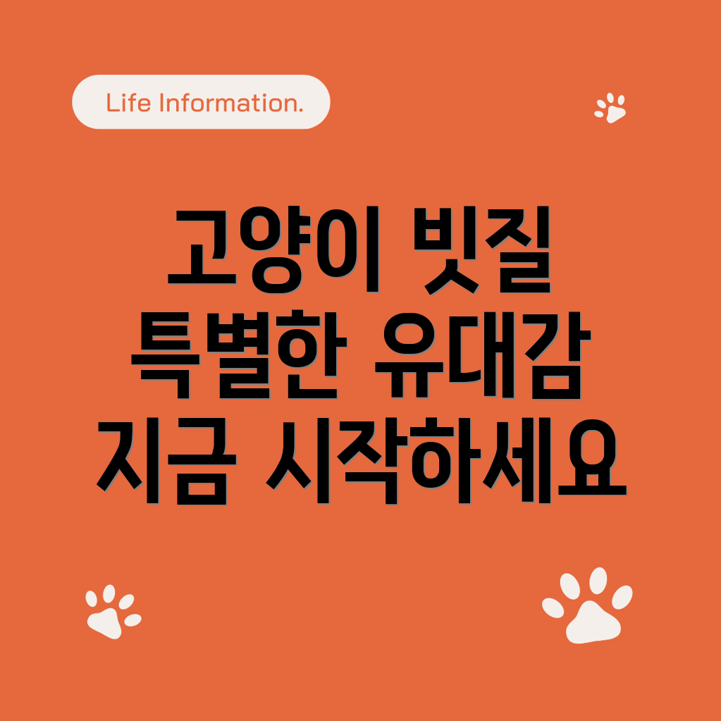 고양이 빗질