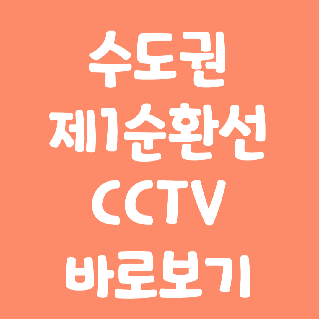 실시간 수도권 제1순환선 CCTV 바로보기