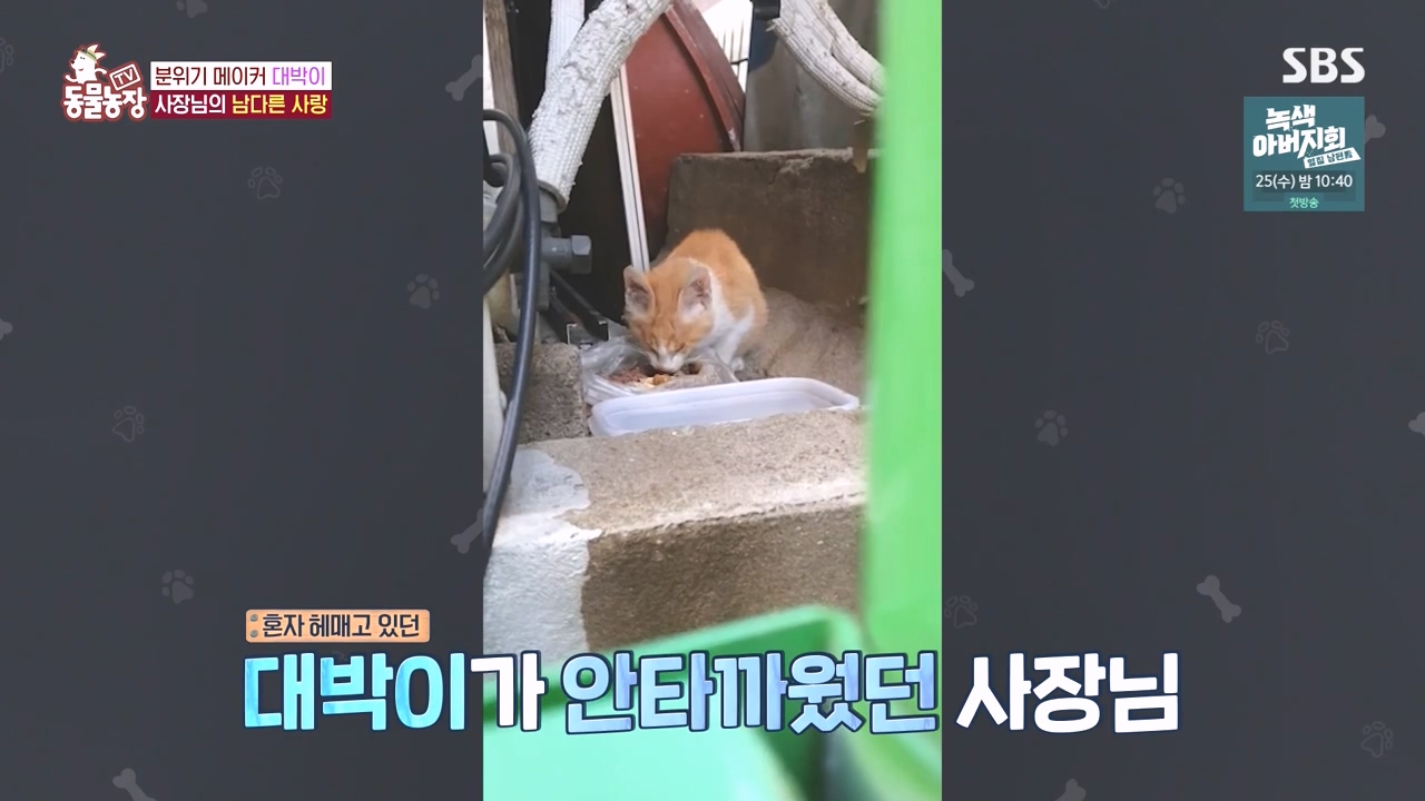 TV 동물농장.E1141.231016p-NEXT.mp4_20231015_174113.450.jpg