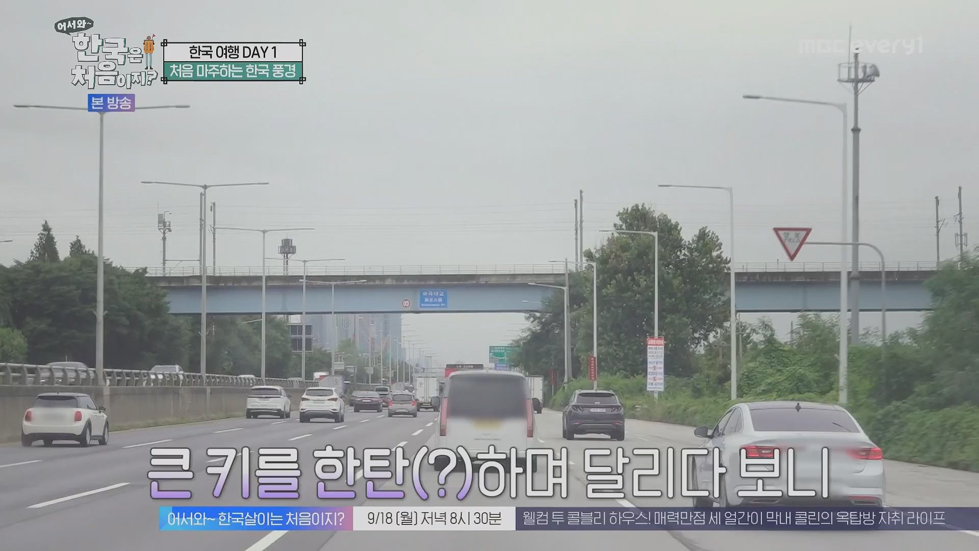 어서와~ 한국은 처음이지.E313.230914p.H264-F1RST.mp4_20230915_205401.507.jpg