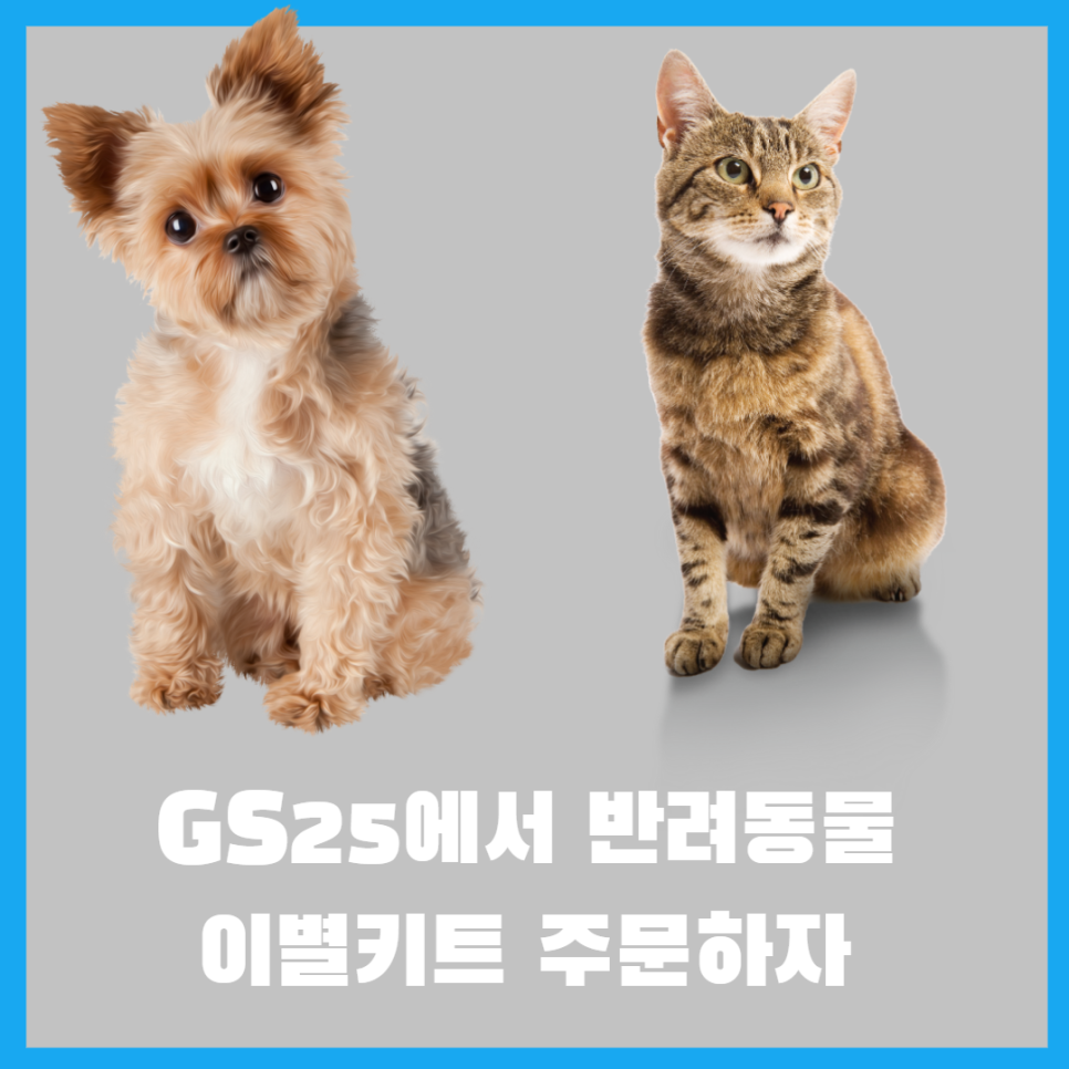  GS25에서 펫보험에 이은 반려동물 이별준비키트 주문 가능