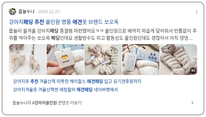 애견패딩 추천_3_subsection