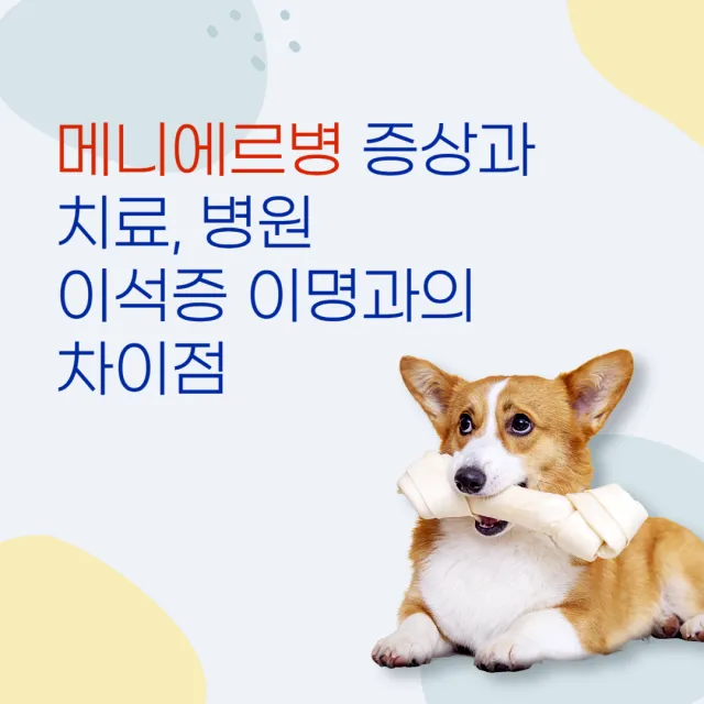  메니에르병 증상과 치료, 병원, 이석증 이명과의 차이점