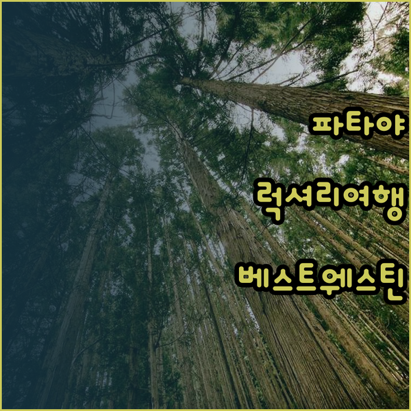 럭셔리 파타야 여행 계획? 베스트 웨