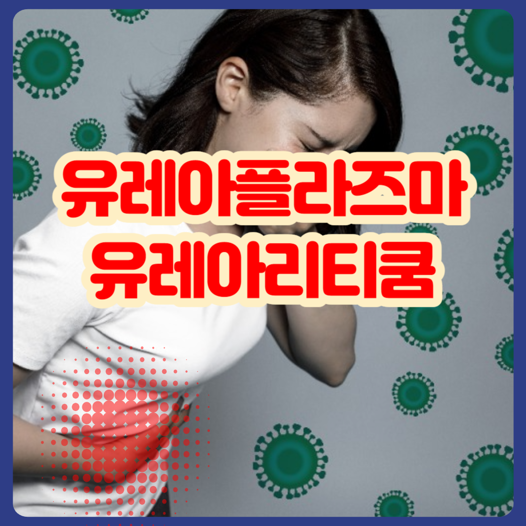 유레아플라즈마_유레아리티쿰_치료
