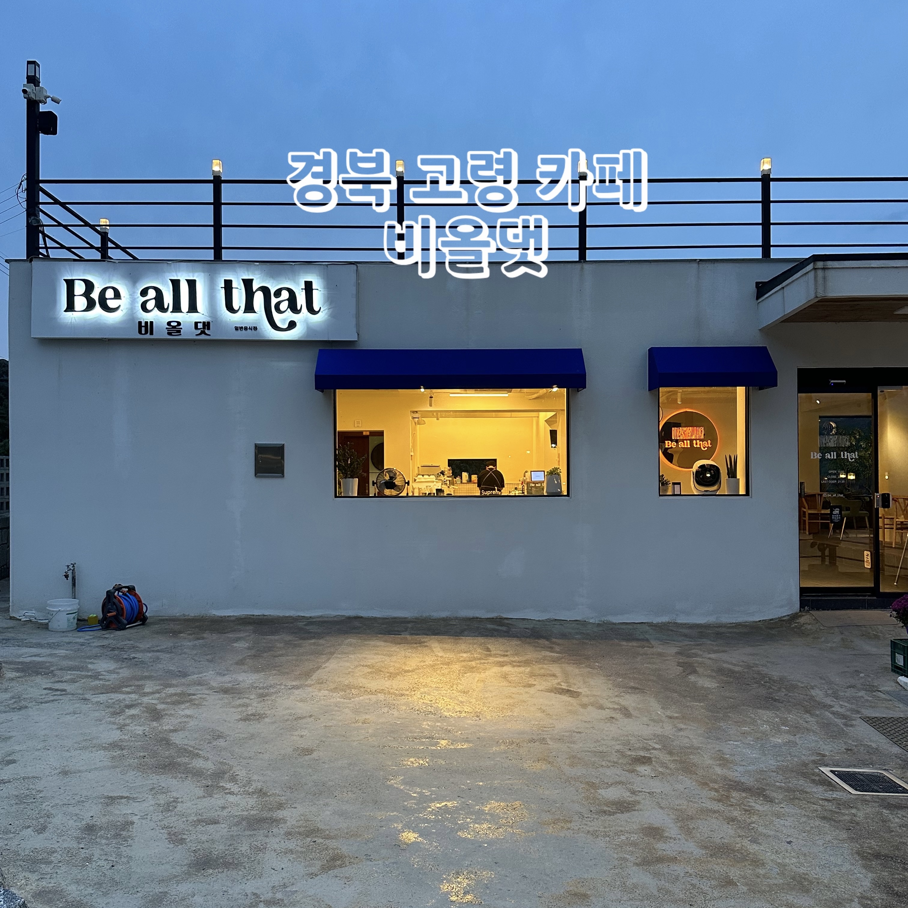 비올댓 이미지