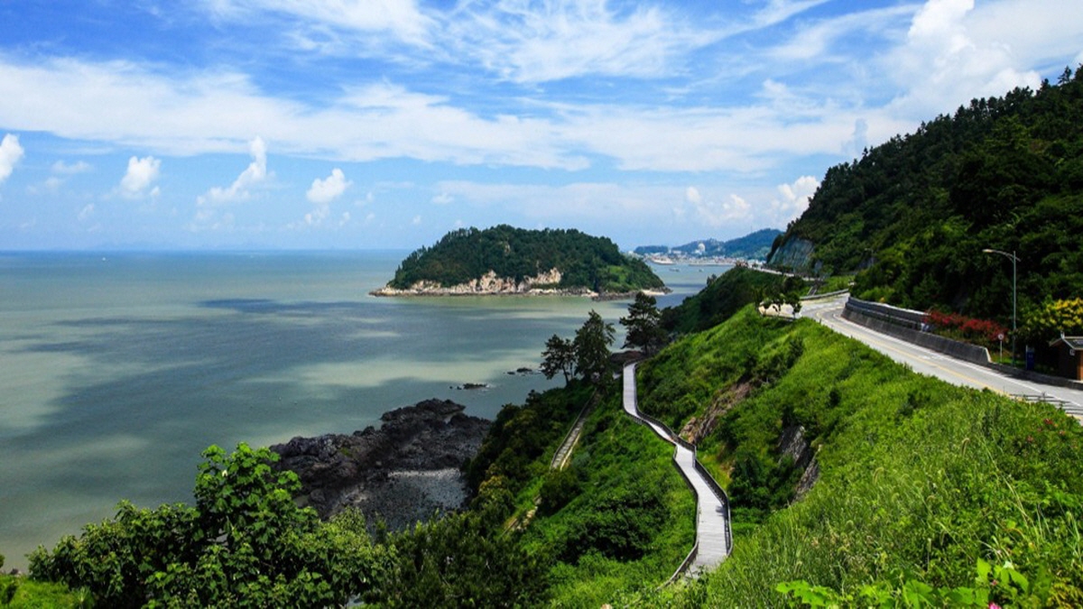영광 백수 도로