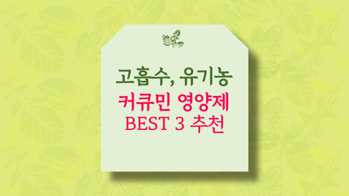 흡수율 높은 고흡수 유기농 커큐민 영양제 추천 BEST 3