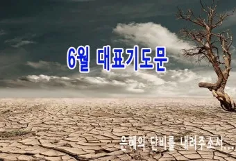 6월 넷째주 주일 대표 기도문 모음_22
