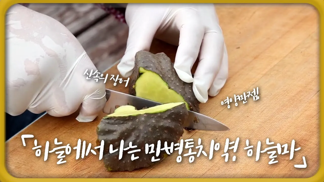 하늘마 가격 보관방법 요리법_1