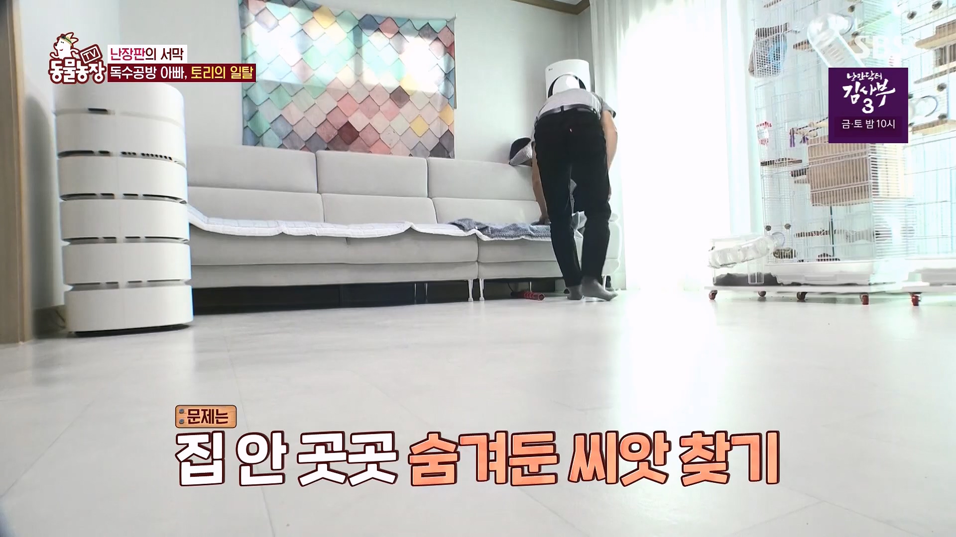 TV 동물농장.E1118.230430p.H264-F1RST.mp4_20230430_172353.251.jpg