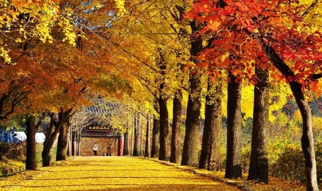 부석사