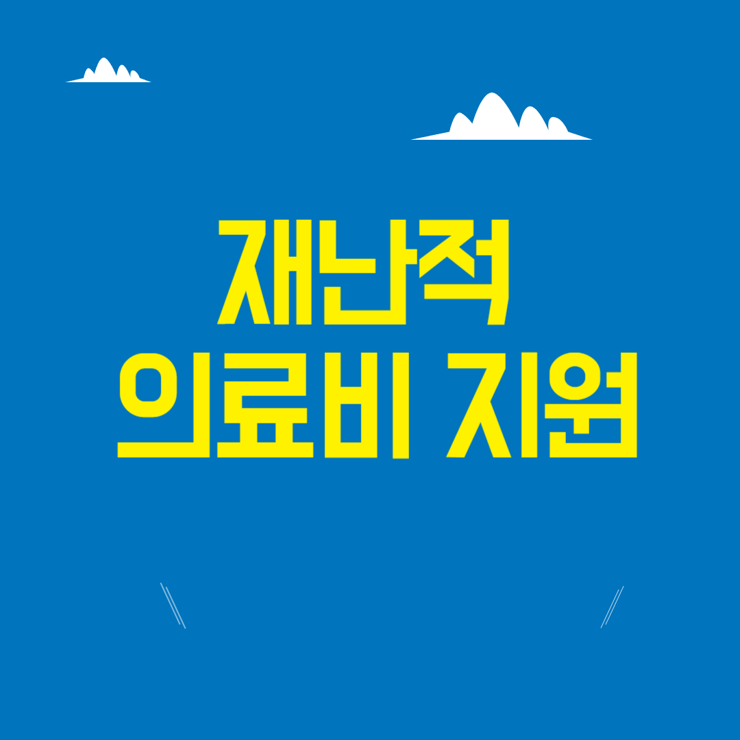 재난적 으료비 지원 사업
