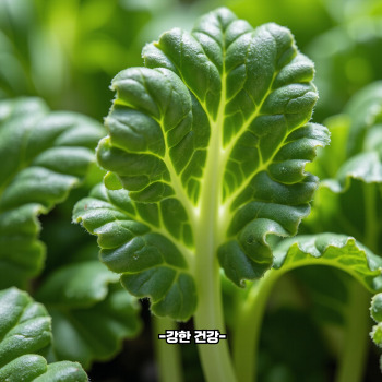 근대 보관법