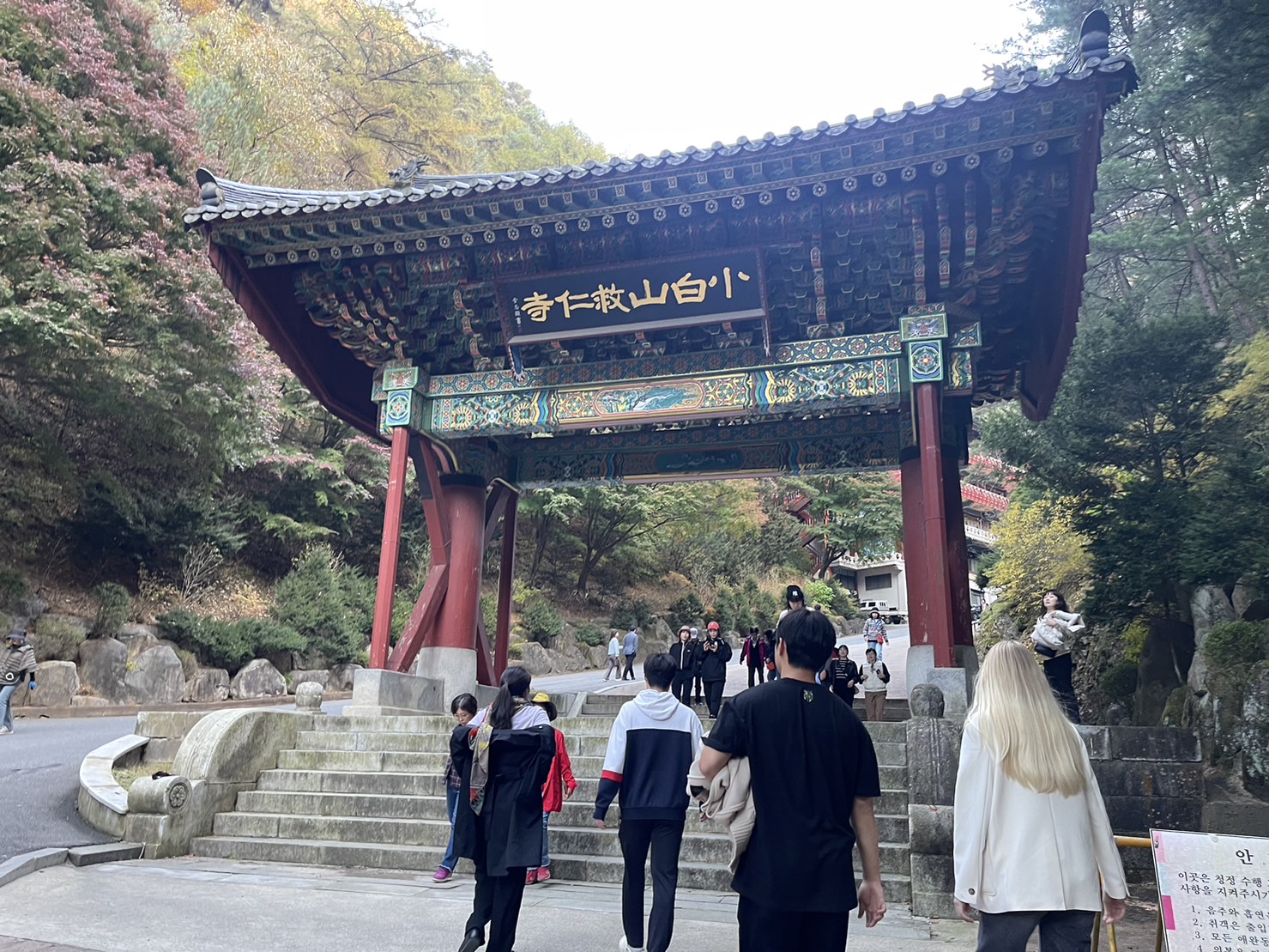 가을 단풍을 절정으로 느낄 수 있는, 충북 단양 '구인사' 방문기 (주차장, 무료셔틀 및 포토존 관람 꿀팁)