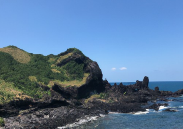 제주도 비행기표 싸게 사는 법