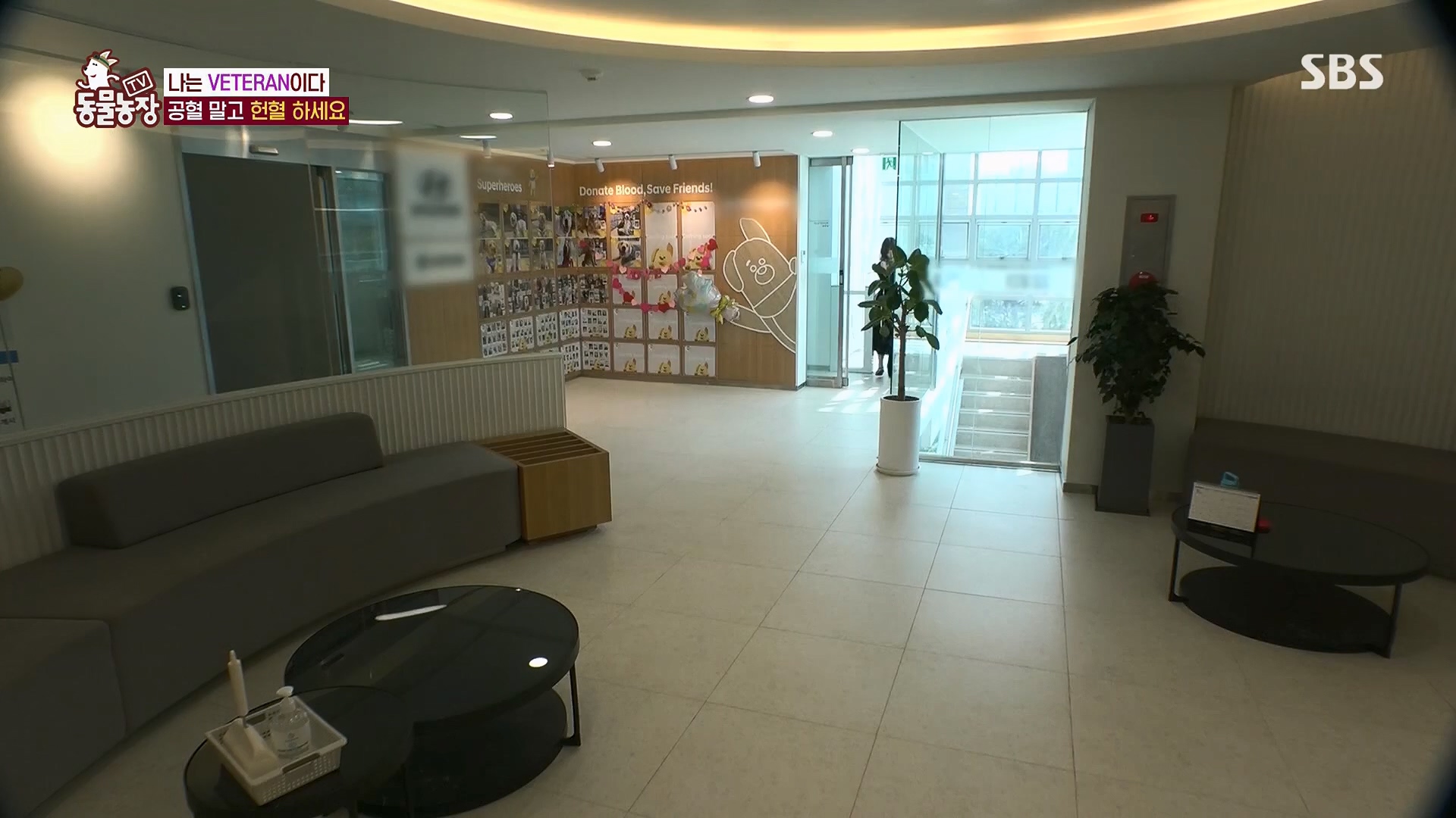 TV 동물농장.E1123.230604p.H264-F1RST.mp4_20230604_173309.054.jpg