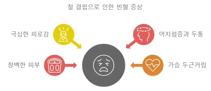 철 결핍 빈혈 증상