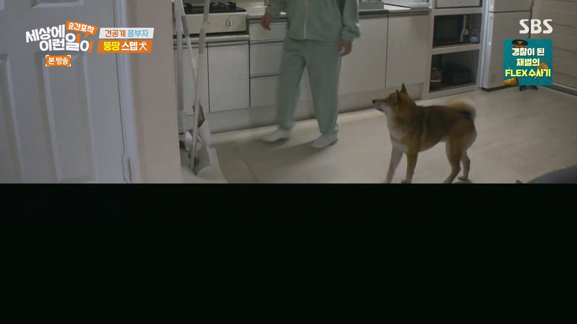 순간포착 세상에 이런일이.E1261.240120p-NEXT.mp4_20240121_133931.545.jpg