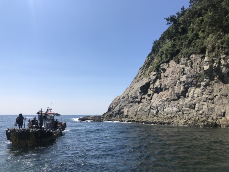 제주버스노선 2020.09 제주 800번 800-1번 12