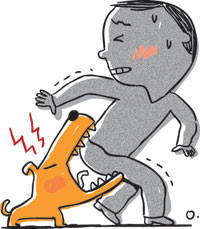  공수병 증상과 위험지역