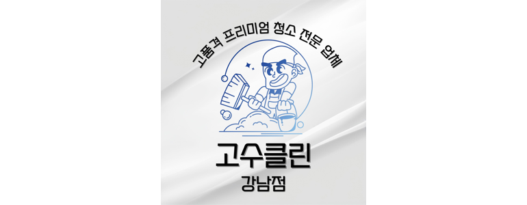 강남구 논현동 입주청소