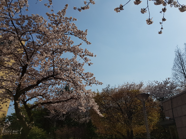  우리말 속담 뜻 풀이/반 잔 술에 눈물 나고 한 잔 술에 웃음 난다/신발 신고 발바닥 긁기