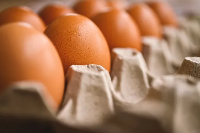 전자렌지 계란찜 조리기 사용법_3