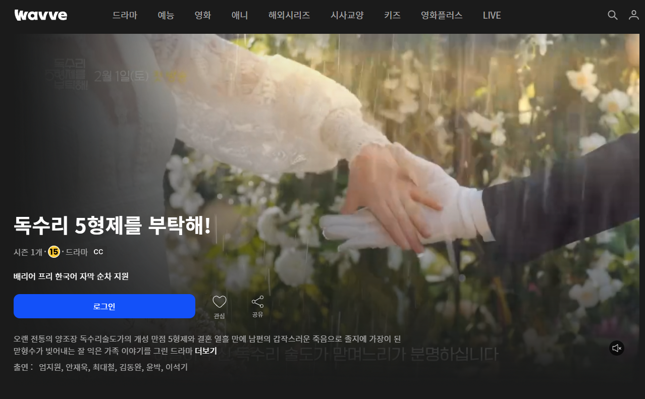 독수리5형제를부탁해 다시보기
