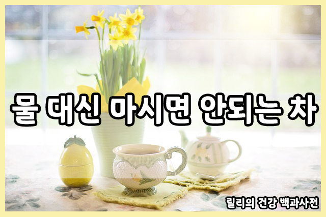  물 대신 마시면 안되는 차!