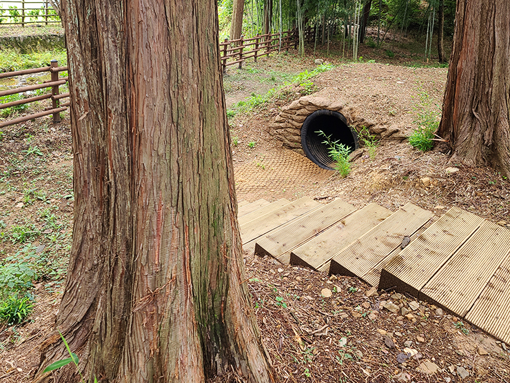 충남 걷기 좋은 숲길 국내여행 걷기 좋은 길, 47