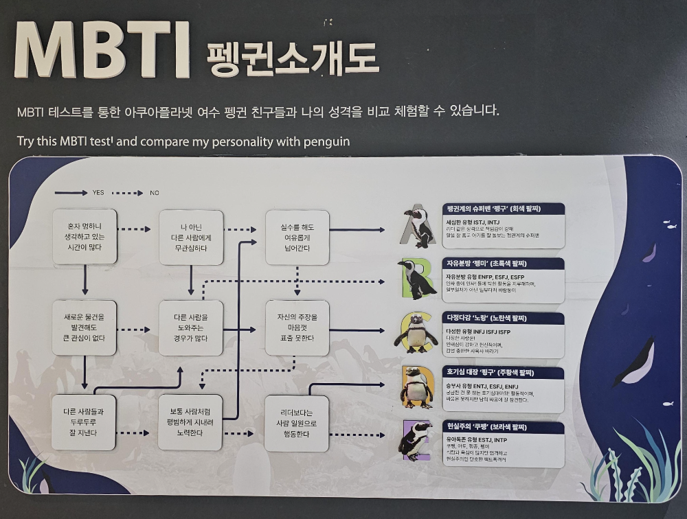 아쿠아플라넷 여수 펭귄