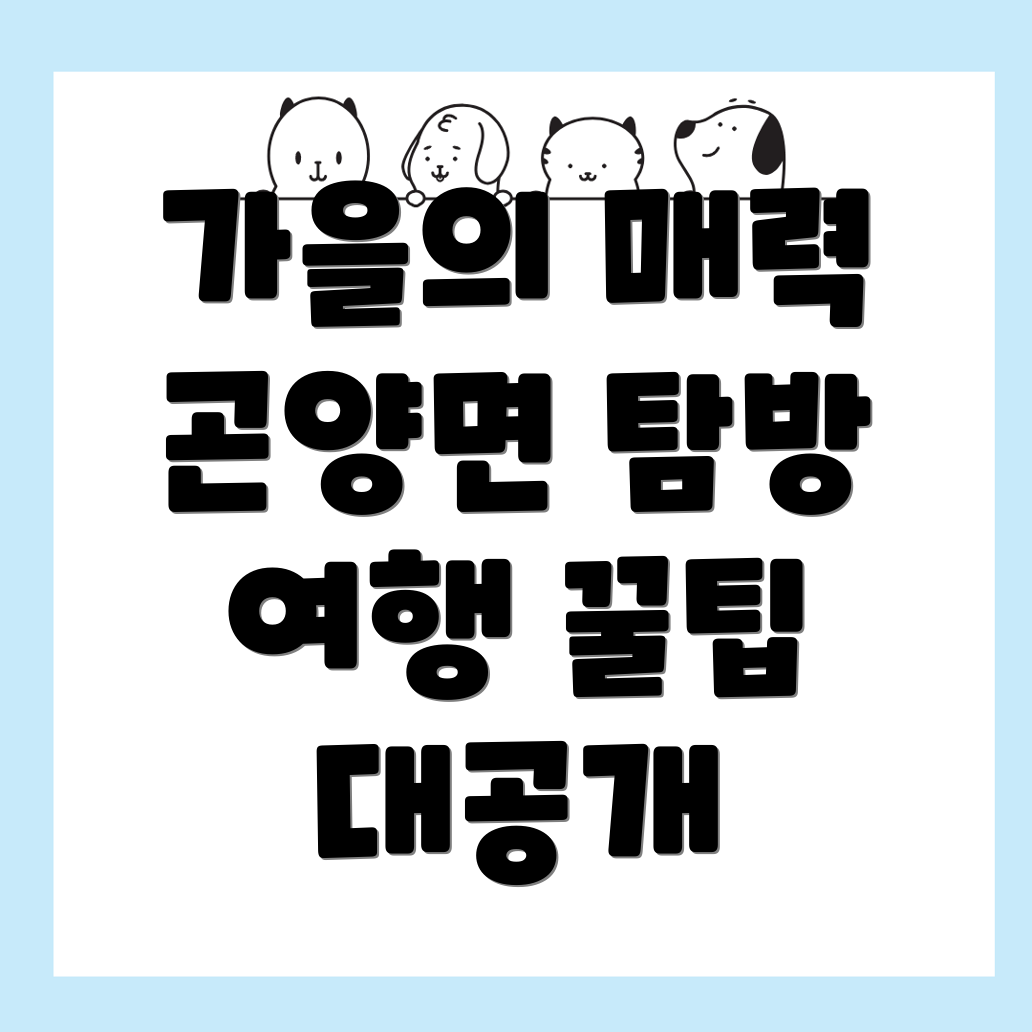 사천시 곤양면 가을 여행