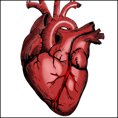 심장-혈전