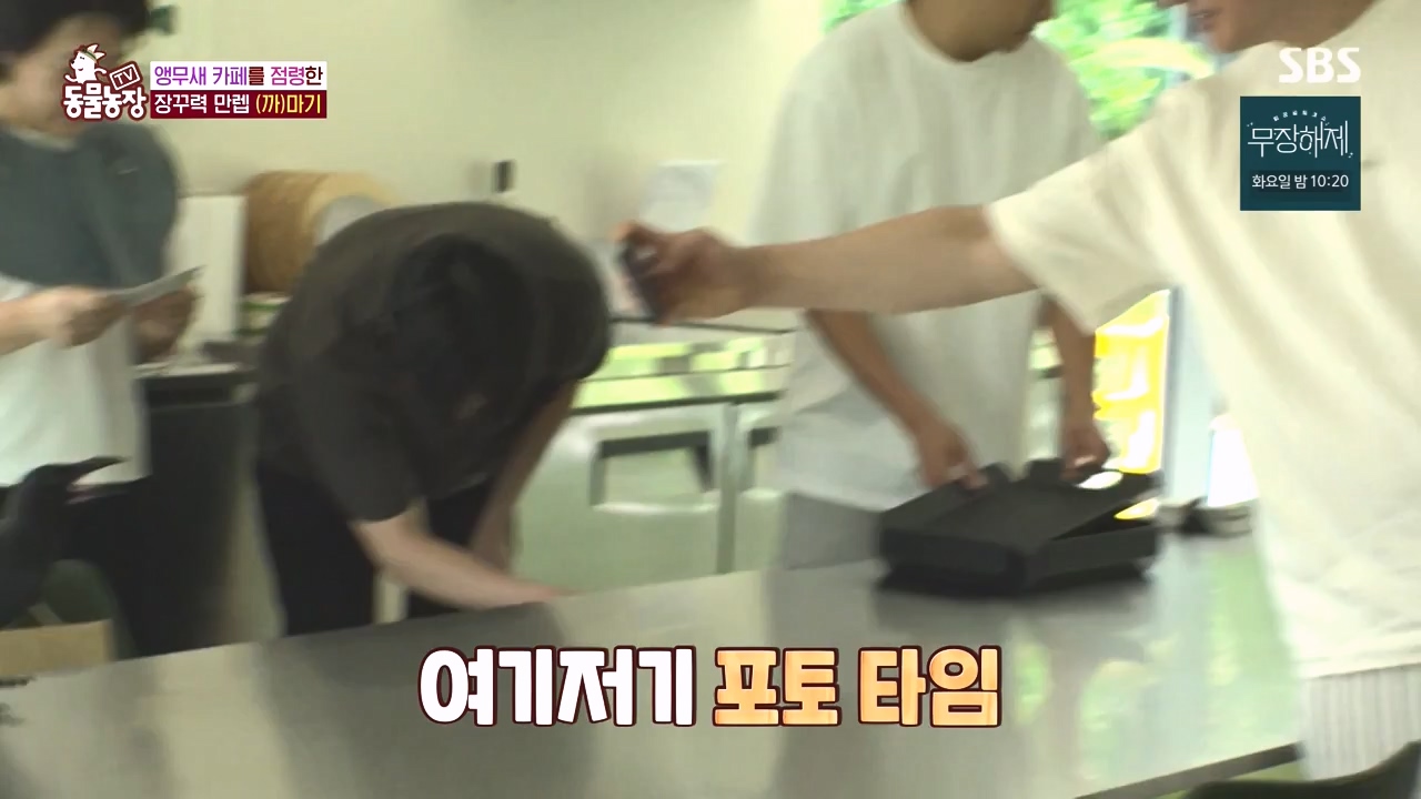 TV 동물농장.E1135.230828p-NEXT.mp4_20230827_180817.620.jpg