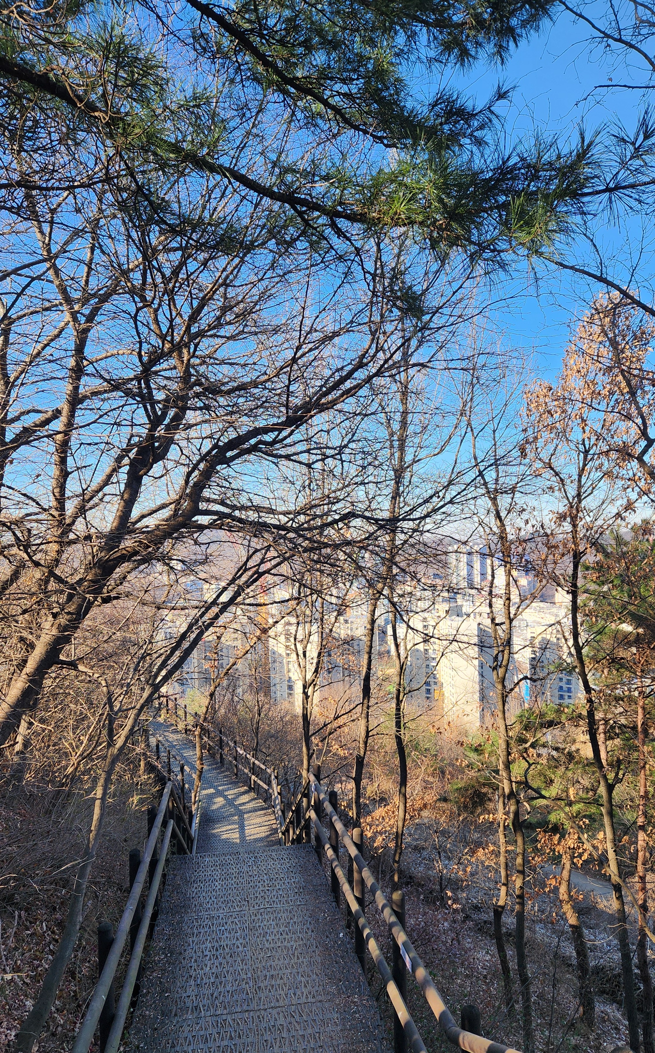기자촌배수지 이미지