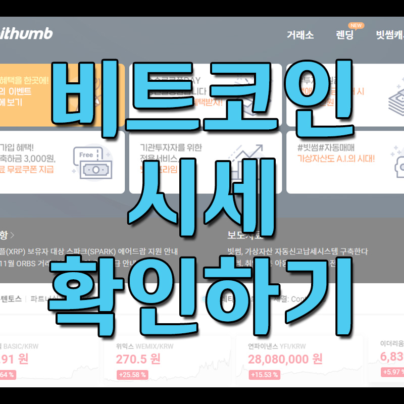  비트코인 시세 확인 - 빗썸