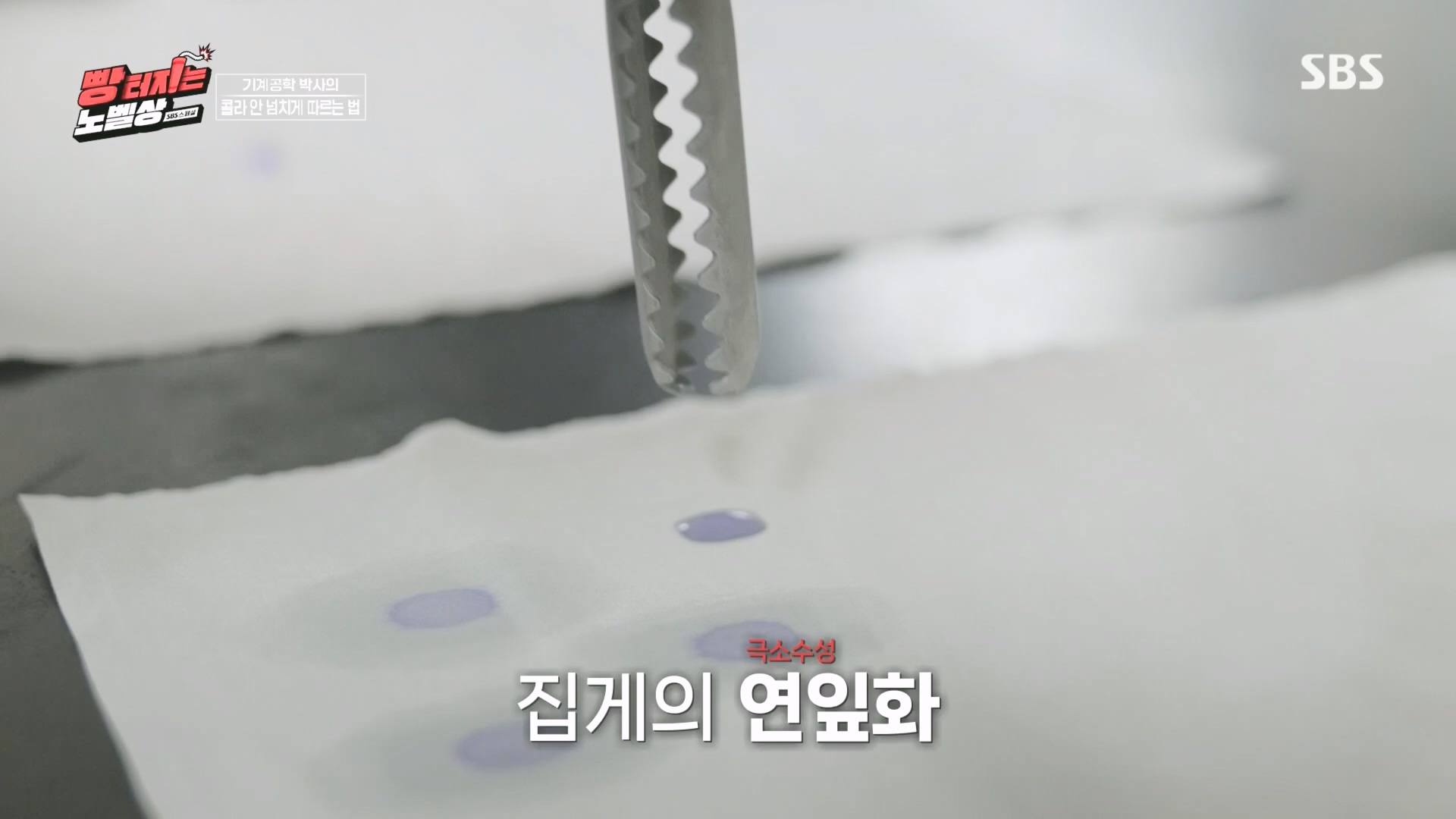 SBS 스페셜.최종.E659.231112p.H264-F1RST.mp4_20231114_204732.203.jpg