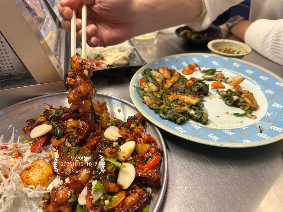 야화 대표 사진