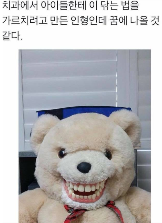  치과에 있는 양치 교육용 곰인형