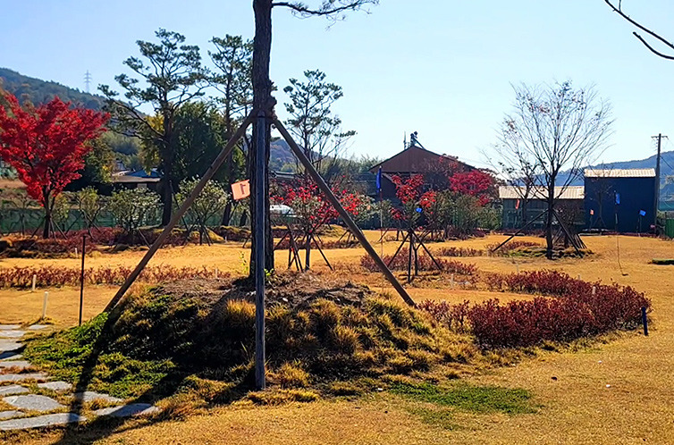 산청군 생비량파크골프장. 경상남도 산청군 비량로 389