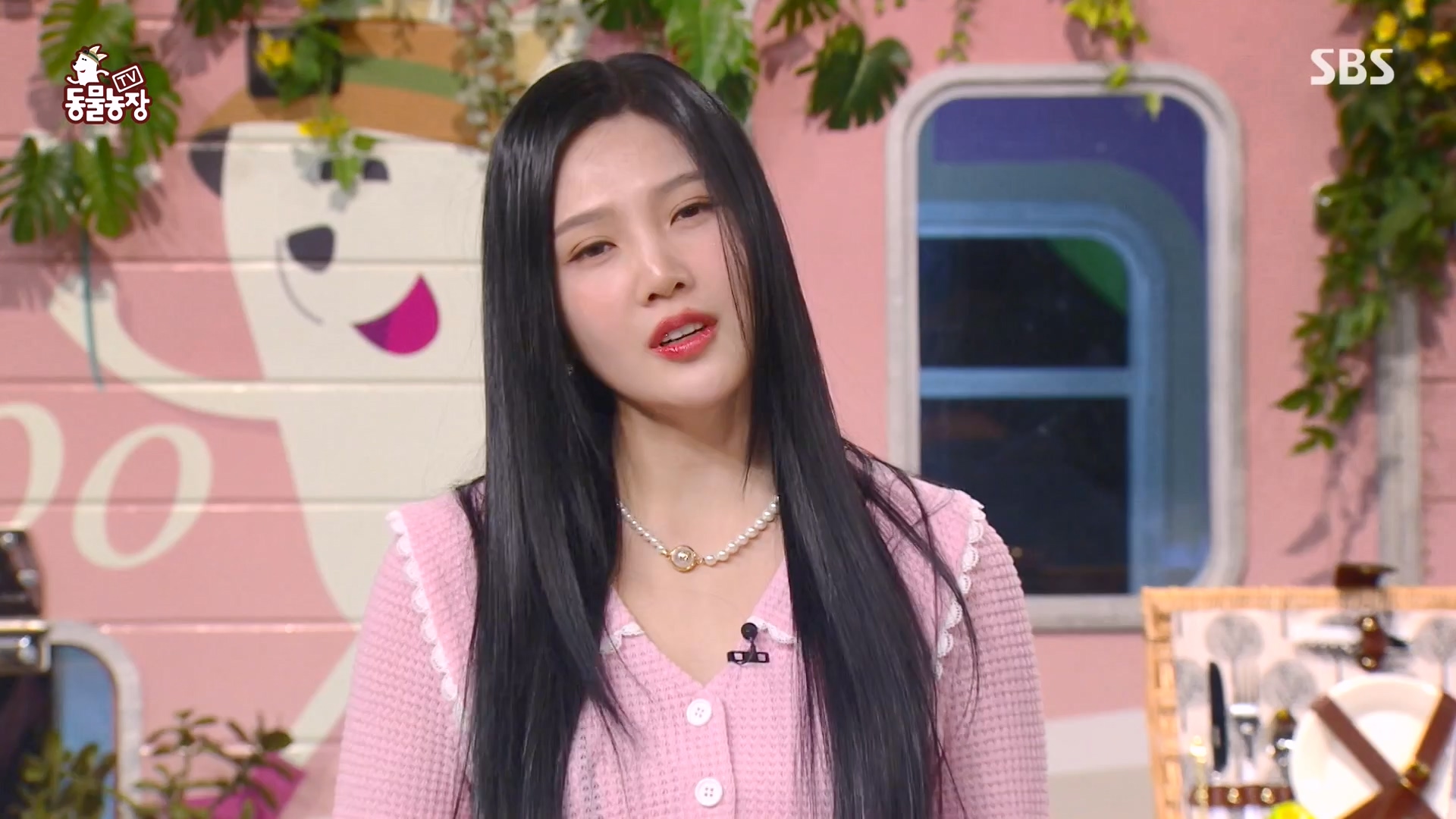 TV 동물농장.E1164.240324p-NEXT.mp4_20240324_172350.533.jpg