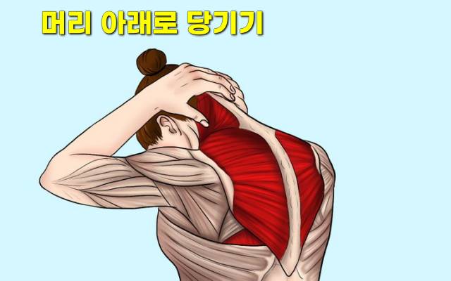 목뒤가 뻐근하고 두통 승모근 스트레칭