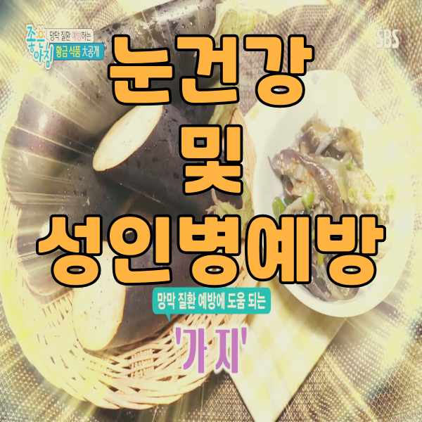  눈에 좋은 채소 가지 망막 색소형성에 좋은 채소 가지 성인병 예방 및 다이어트 채소