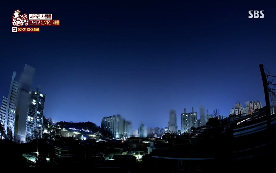 TV 동물농장.E1065.220418p-NEXT.mp4_20220417_181311.837.jpg