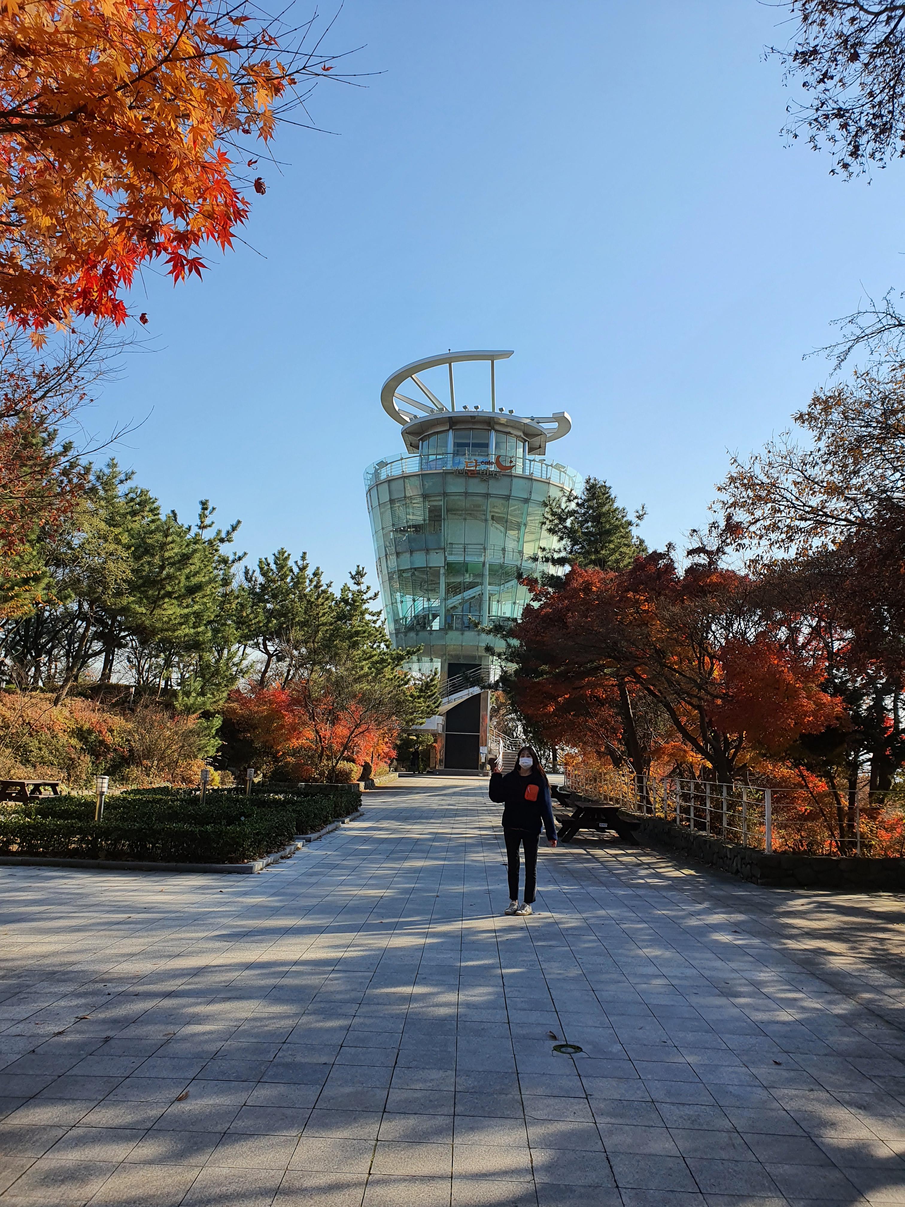 인천 산책하기 좋은 월미공원 물범카 이용 안내